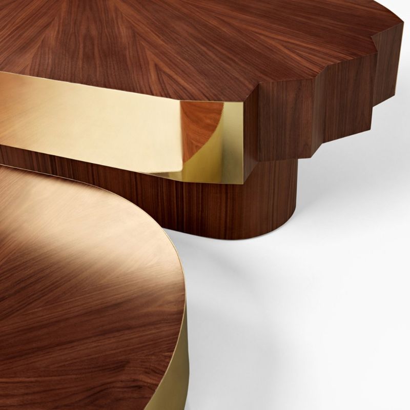 Delicate Coffee Table Designs From Ginger & Jagger